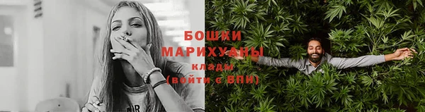 spice Богданович