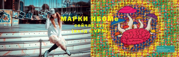 spice Богданович
