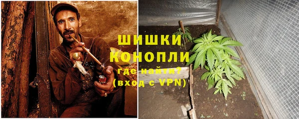 spice Богданович