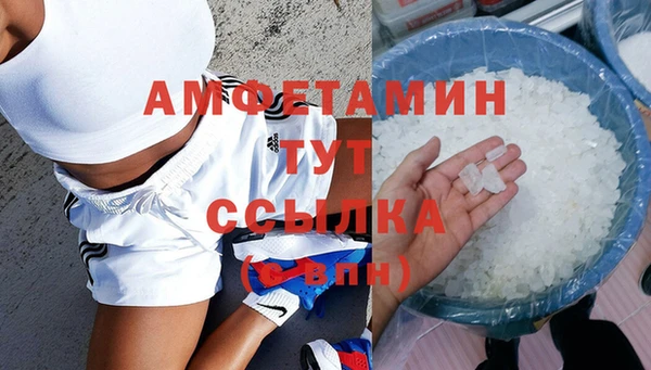 spice Богданович