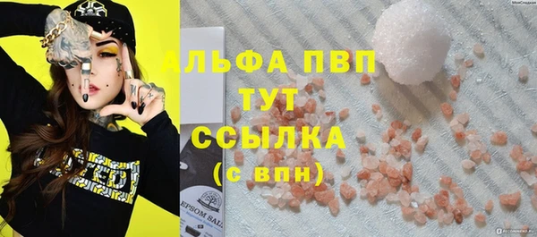 spice Богданович