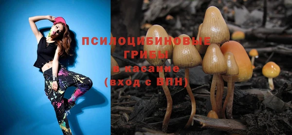 spice Богданович