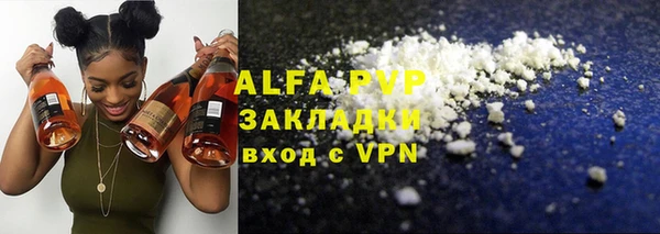 spice Богданович