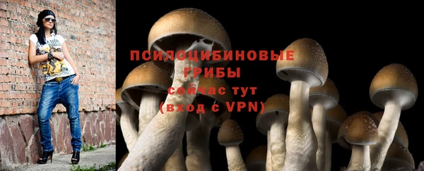 spice Богданович