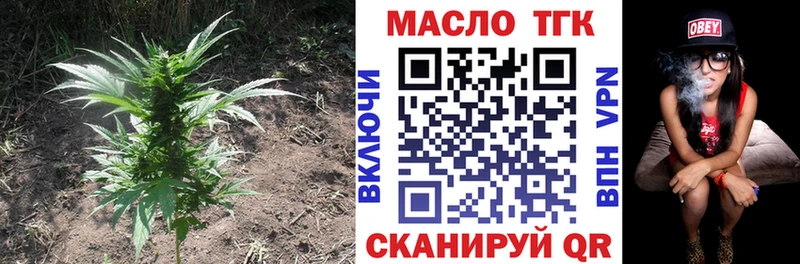 ТГК гашишное масло  Грозный 